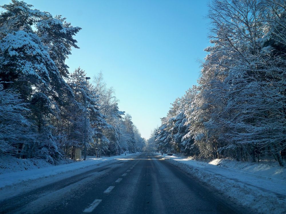 Обои снег, дорога, зима, дерево, мороз в разрешении 3648x2736