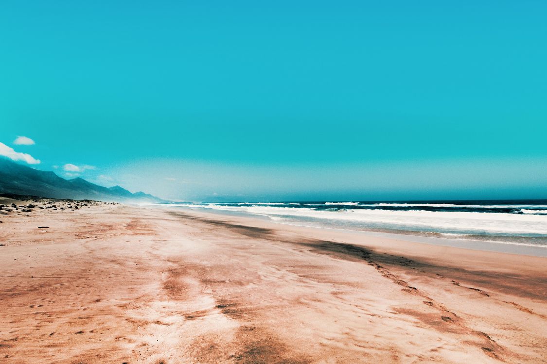 Обои пляж, берег, песок, синий, море в разрешении 5184x3456