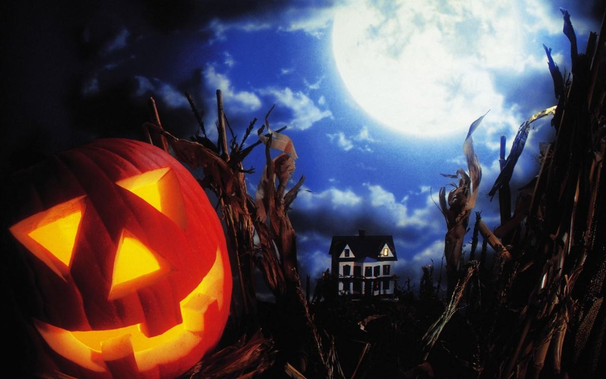 Обои калебас, фестиваль, Хэллоуин, Джек о фонарь, тьма в разрешении 1920x1200