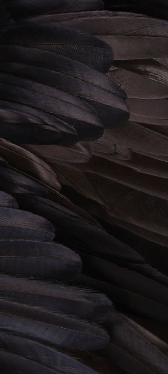 Обои каньон антилопы, Google, смартфон, Google Pixel XL, андроид в разрешении 1080x2400