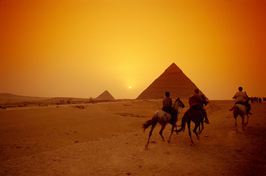Обои верблюд, пустыня, арабский верблюд, пирамида, песок в разрешении 3991x2644