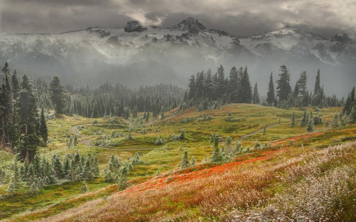 Обои горный рельеф, нагорье, гора, дикая местность, тундра в разрешении 2560x1600