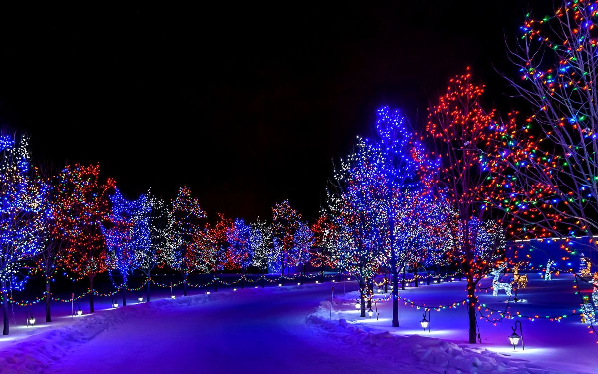 Обои Рождественские огни, освещение, свет, дерево, синий в разрешении 2880x1800