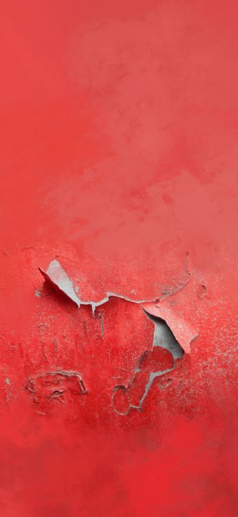 Обои акриловая краска, древесина, растение, дерево, полутона и оттенки в разрешении 1080x2340