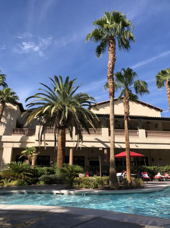 Обои прибежище, плавательный бассейн, недвижимость, пальмовые рощи, вода в разрешении 1536x2048