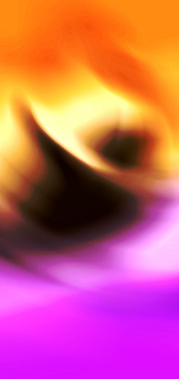 Обои Апельсин, красочность, пурпур, растение, лепесток в разрешении 1440x3040