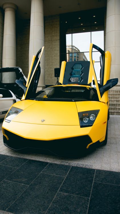 Обои Lamborghini Murcilago, легковые автомобили, Ламборджини, суперкар, капюшон в разрешении 1080x1920