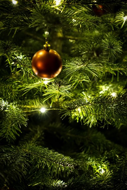 Обои Новый год, Рождественский день, рождественский орнамент, Рождественские украшения, елка в разрешении 4000x6000
