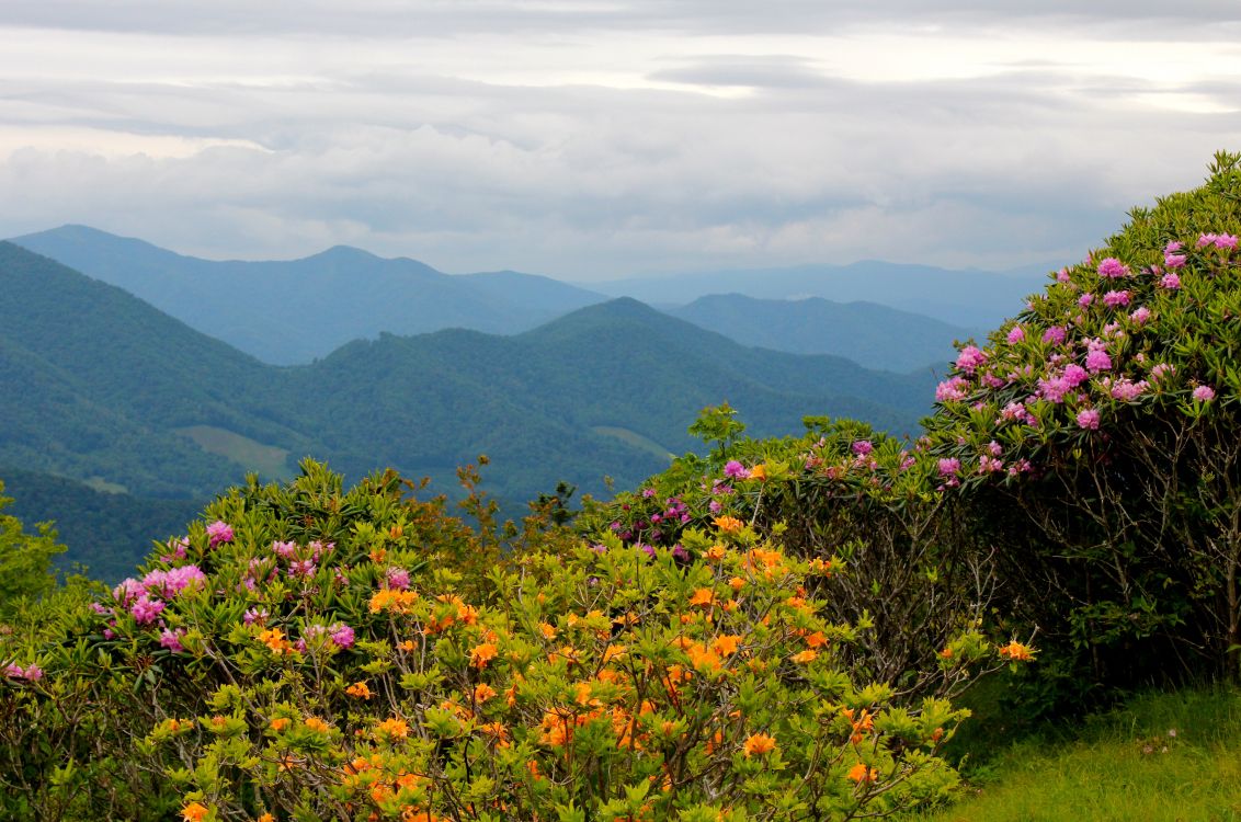 Обои Северная Каролина, растительность, природа, горный рельеф, горная станция в разрешении 3456x2289