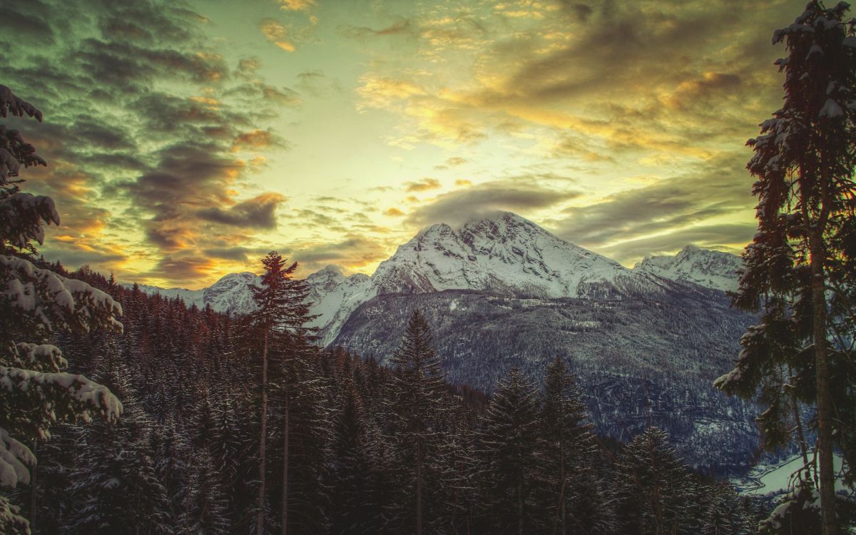 Обои гора, горный хребет, природа, облако, дерево в разрешении 2560x1600