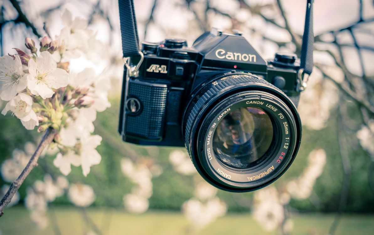 Обои камера, цифровые зеркальные, Canon, объектив камеры, оптика камеры в разрешении 2560x1610