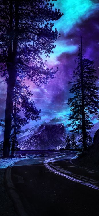 Обои облако, атмосфера, растение, пурпур, природа в разрешении 1407x3045