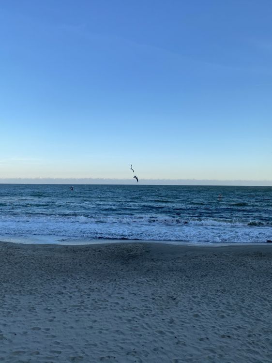 Обои море, вода, физика, водоем, природа в разрешении 1536x2048