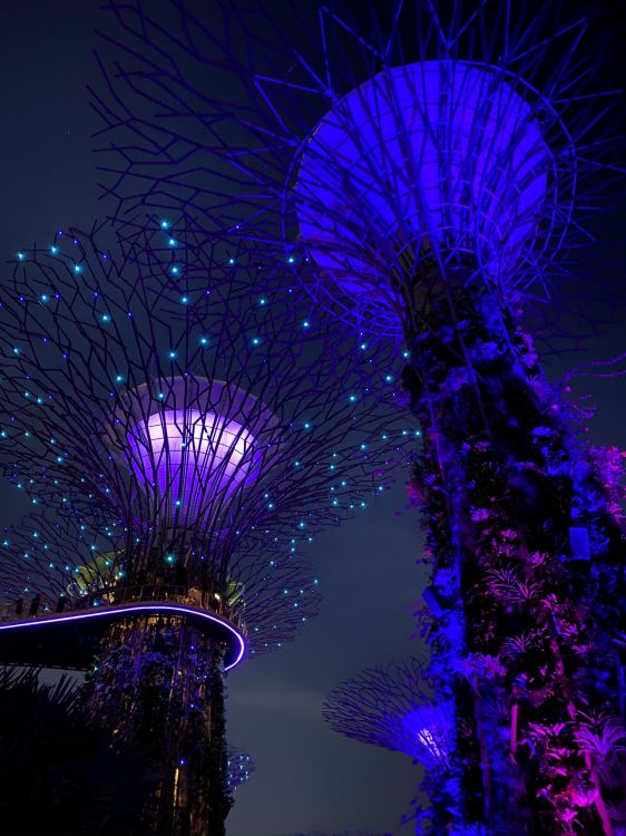 Обои Сингапур, свет, синий, пурпур, Фиолетовый в разрешении 1536x2048