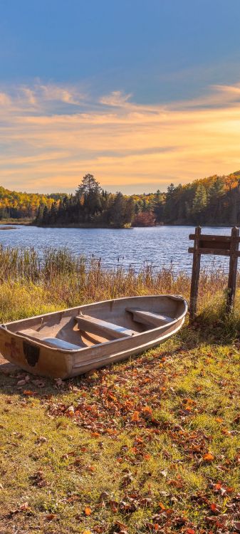 Обои вода, облако, лодка, растение, гидроресурсы в разрешении 1080x2400