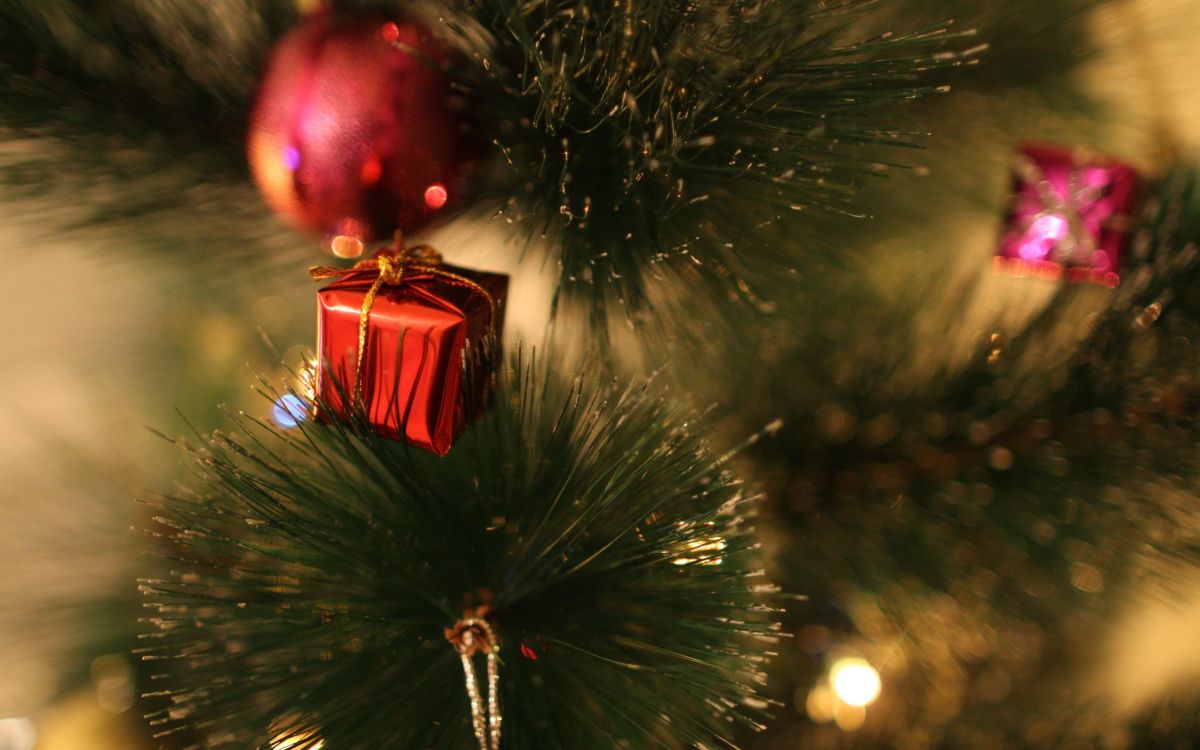 Обои Новый год, Рождественский день, рождественский орнамент, дерево, елка в разрешении 2560x1600