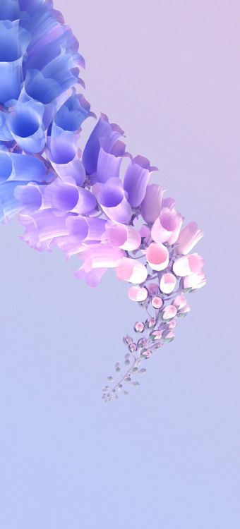 Обои цветок, цветковое растение, растение, лепесток, пурпур в разрешении 1080x2376