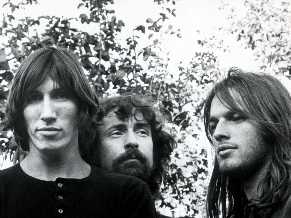 Обои Pink Floyd, монохромный, дружба, музыка, дерево в разрешении 2500x1875