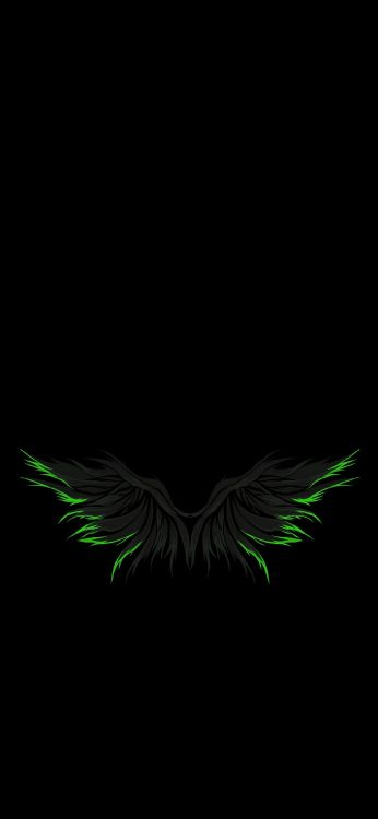 Обои крыло, птица, насекомое, хвост, наземное растение в разрешении 1080x2340