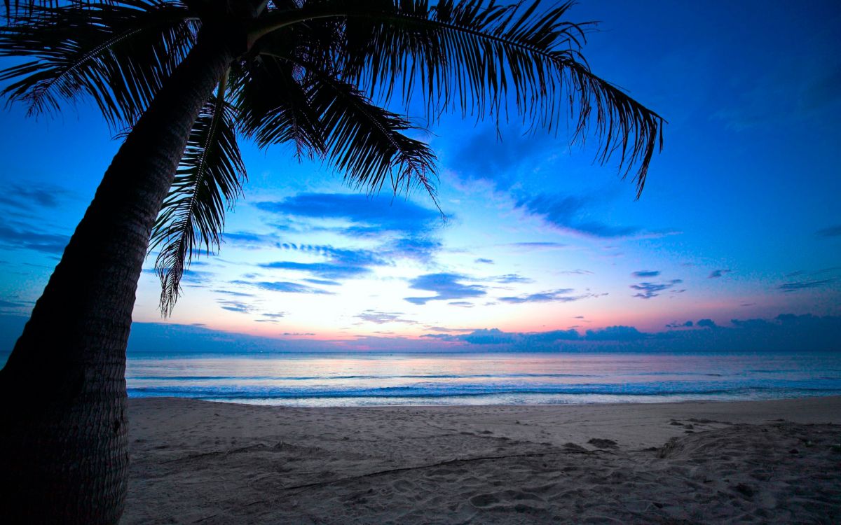 Обои закат, океан, горизонт, тропическая зона, море в разрешении 2560x1600