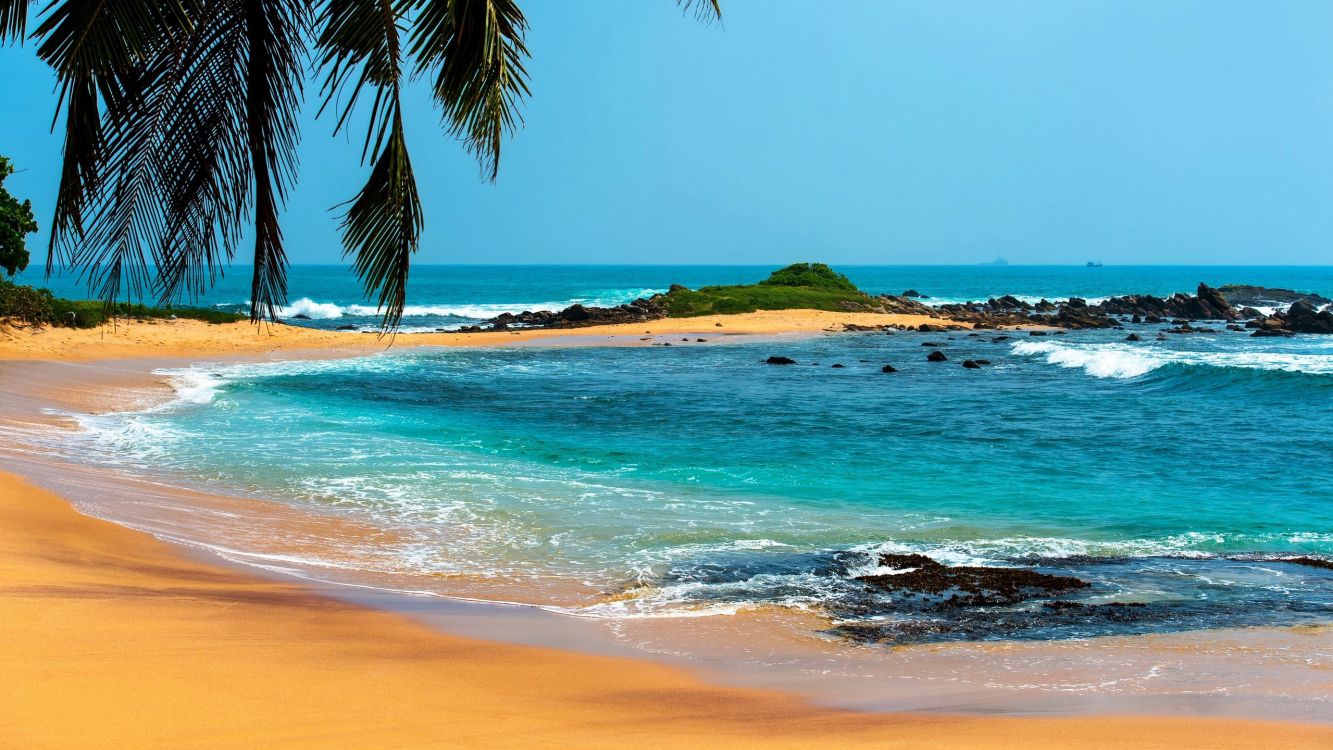 Обои водоем, пляж, море, берег, побережье в разрешении 2560x1440