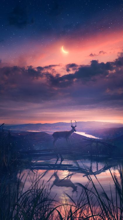 Обои Эдвард Каллен, балахон, 2023, облако, атмосфера в разрешении 2160x3840