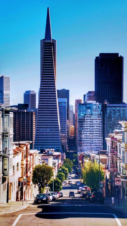 Обои Transamerica Пирамида, здание, небоскреб, дневное время, легковые автомобили в разрешении 1440x2560