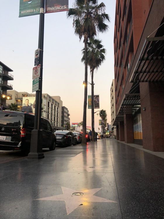 Обои Король, дорога, ночь, жилой район, зима в разрешении 1536x2048