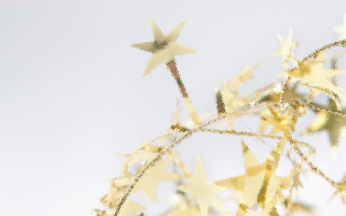 Обои Рождественский день, ветвь, желтый, прут, небо в разрешении 2560x1600