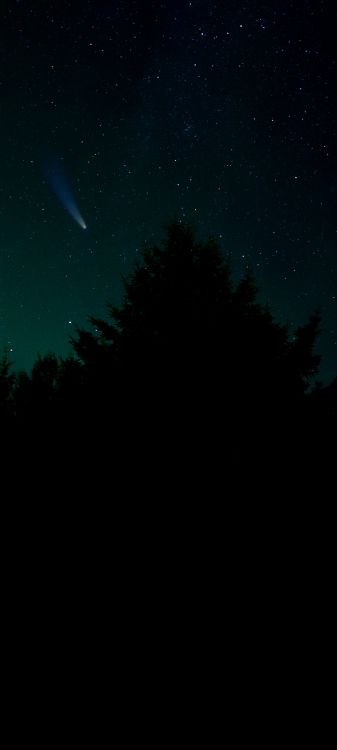 Обои звезда, Астрономия, атмосфера, природный ландшафт, ветвь в разрешении 2160x4800