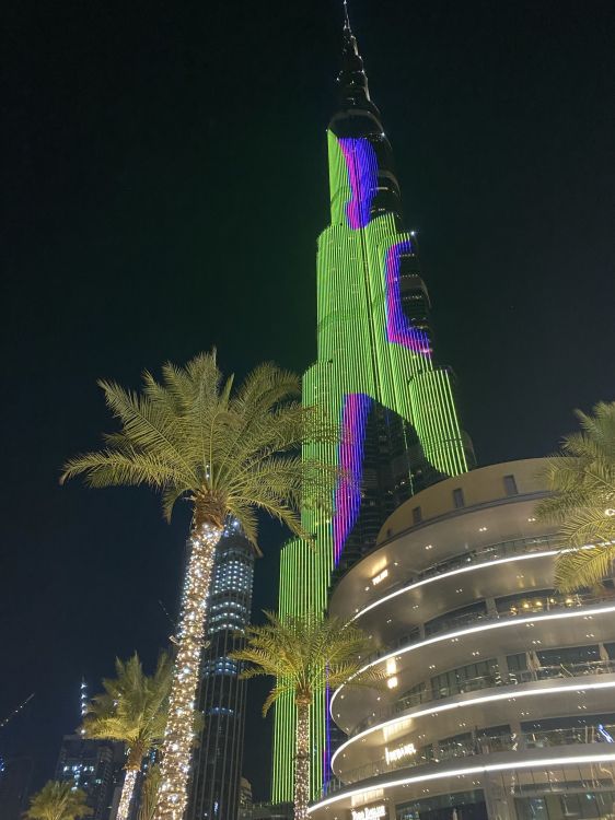 Обои вышка, пальмовые рощи, мажорель синий, фасад, ночь в разрешении 1536x2048