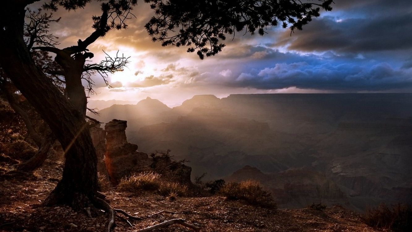 Обои пейзаж, солнечный свет, природа, атмосфера, дерево в разрешении 3840x2160