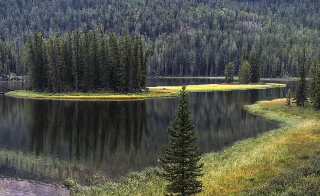 Обои отражение, ель, дерево, пустыня, природа в разрешении 3379x2067