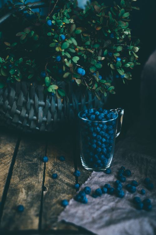 Обои синий, вода, Аква, бирюза, прозрачный материал в разрешении 4912x7360