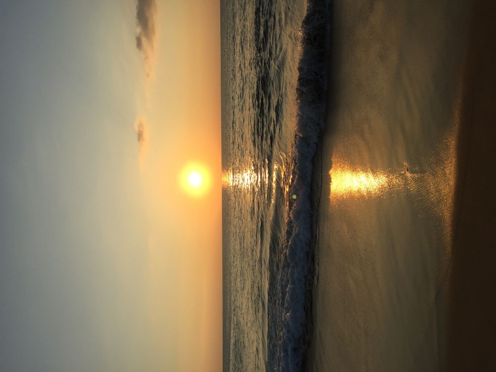 Обои древесина, наука, физика, водоем, жидкость в разрешении 3264x2448