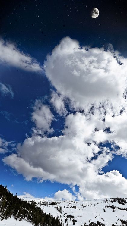 Обои облако, дневное время, кучевое облако, синий, атмосфера в разрешении 1080x1920