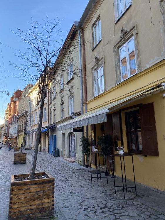 Обои Хаус, недвижимость, окно, городок, соседство в разрешении 1536x2048