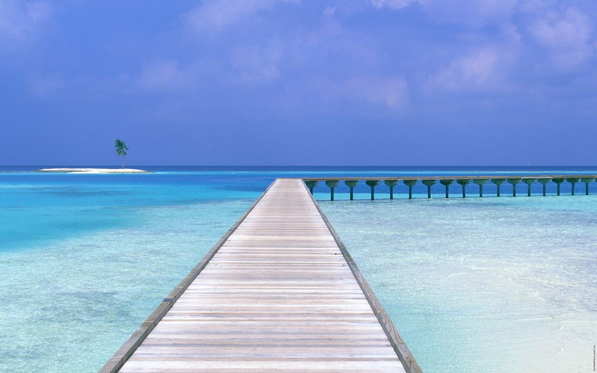 Обои пляж, море, океан, тропическая зона, лазурный в разрешении 2560x1600