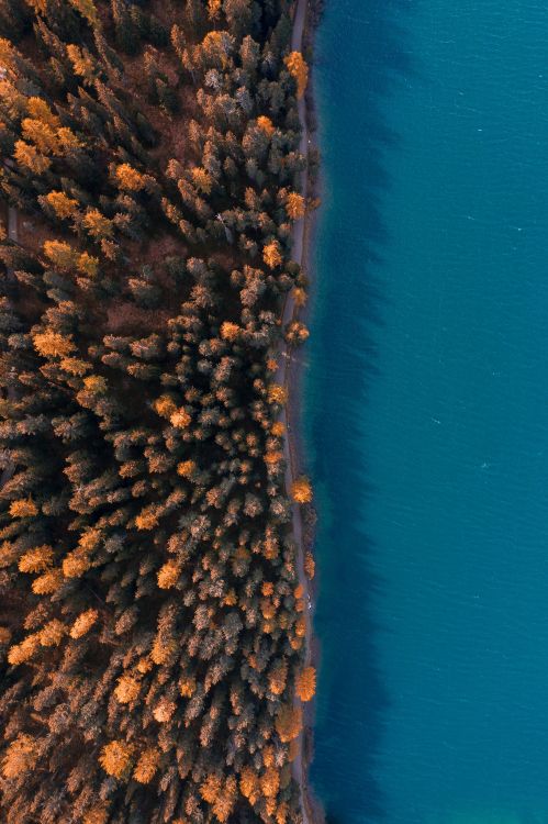 Обои вода, коралловый риф, небо, коралл, microsoft azure в разрешении 3640x5464