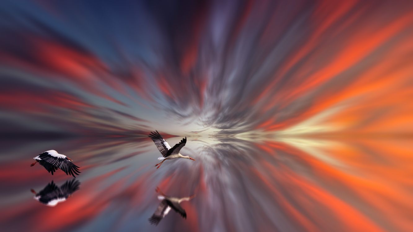 Обои красный цвет, свет, Апельсин, растение, космос в разрешении 5416x3047