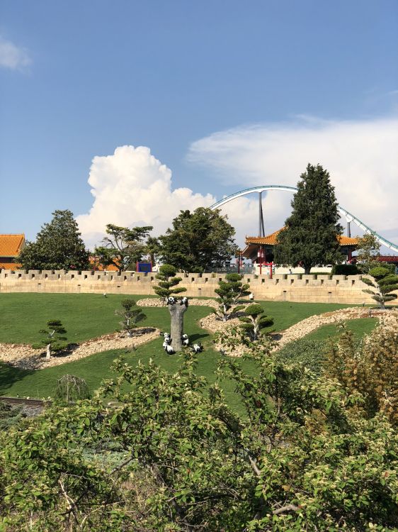 Обои сельский район, туризм, растение, облако, земельный участок в разрешении 1536x2048